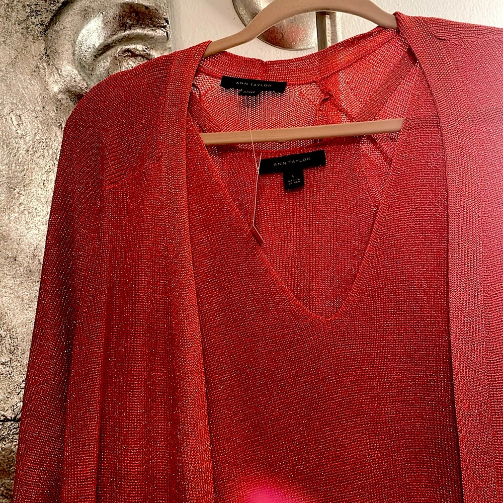 NWT Ann Taylor Cardigan Set